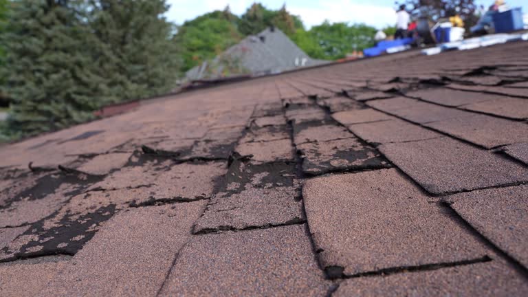 Hot Roofs in Tyhee, ID